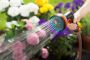 Afbeelding - https-www-ez-catalog-nl-Asset-b48ce2356c7e48959249873f20720aa1-ImageFullSize-04078500024181-C1N0-s07-jpg